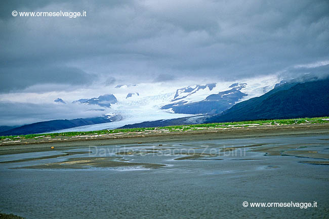 Katmai National Park 62-33-07